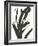 Composition in Black and White 11-Emma Jones-Framed Giclee Print