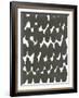 Composition in Black and White 17-Emma Jones-Framed Giclee Print