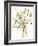 Composition in Vase I-Jennifer Goldberger-Framed Art Print