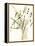 Composition in Vase I-Jennifer Goldberger-Framed Stretched Canvas