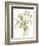 Composition in Vase I-Jennifer Goldberger-Framed Premium Giclee Print