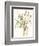 Composition in Vase I-Jennifer Goldberger-Framed Premium Giclee Print