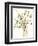 Composition in Vase I-Jennifer Goldberger-Framed Premium Giclee Print