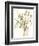 Composition in Vase I-Jennifer Goldberger-Framed Premium Giclee Print