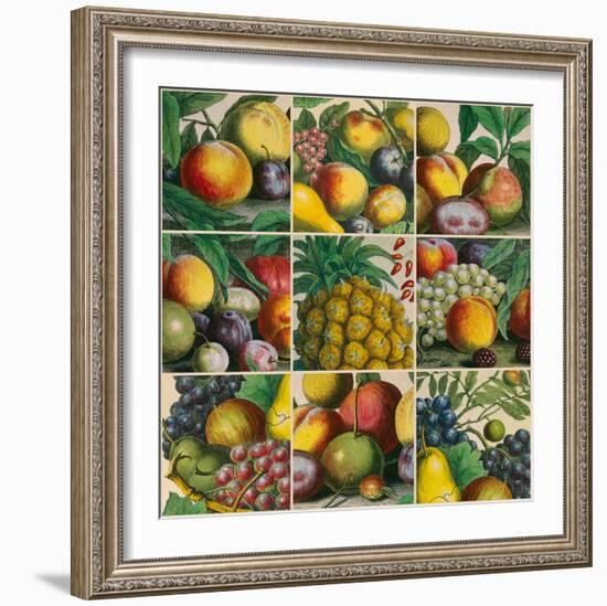 Composition of Fruits-Robert Furber-Framed Giclee Print