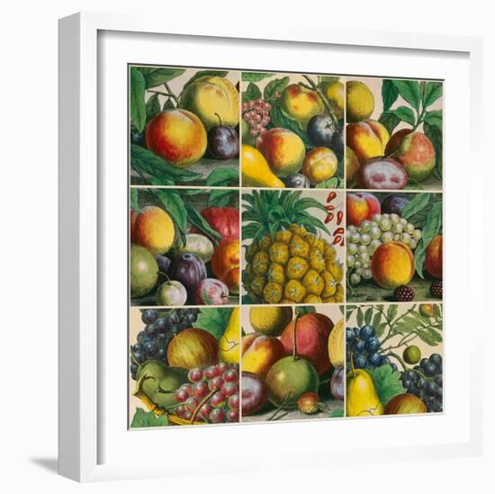 Composition of Fruits-Robert Furber-Framed Giclee Print