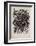 Composition-Guillaume Corneille-Framed Premium Edition