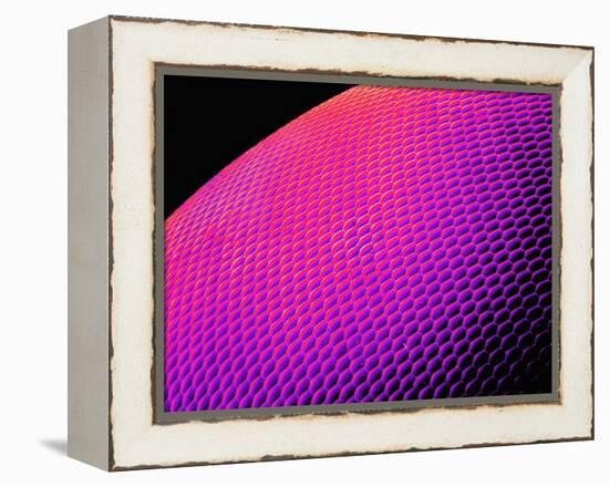 Compound Eye of a Bee-Micro Discovery-Framed Premier Image Canvas