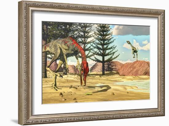 Compsognathus Dinosaur Attempts to Eat a Frog-Stocktrek Images-Framed Art Print