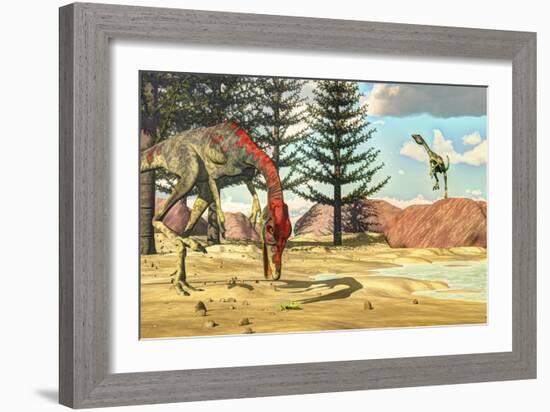 Compsognathus Dinosaur Attempts to Eat a Frog-Stocktrek Images-Framed Art Print