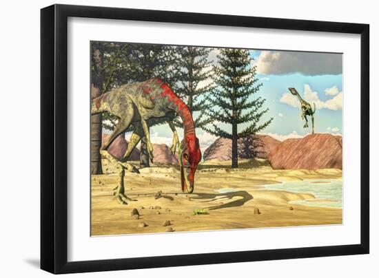 Compsognathus Dinosaur Attempts to Eat a Frog-Stocktrek Images-Framed Art Print