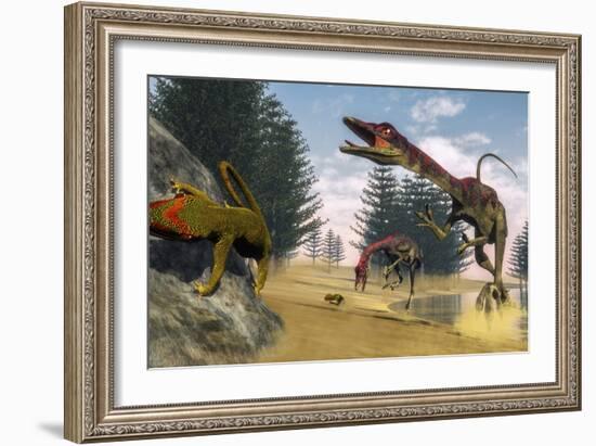 Compsognathus Dinosaur Hunting a Gecko in a Lagoon-Stocktrek Images-Framed Art Print