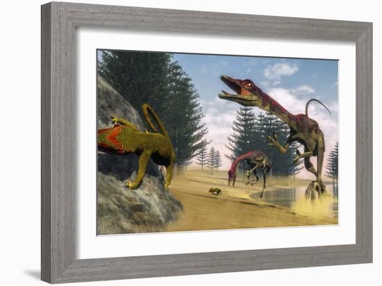 Compsognathus Dinosaur Hunting a Gecko in a Lagoon-Stocktrek Images-Framed Art Print