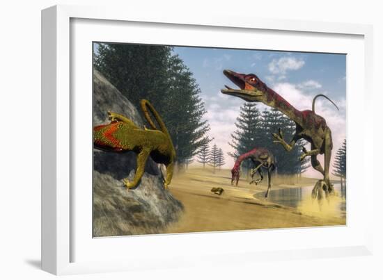 Compsognathus Dinosaur Hunting a Gecko in a Lagoon-Stocktrek Images-Framed Art Print