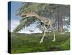 Stretched Canvas Print