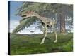 Stretched Canvas Print