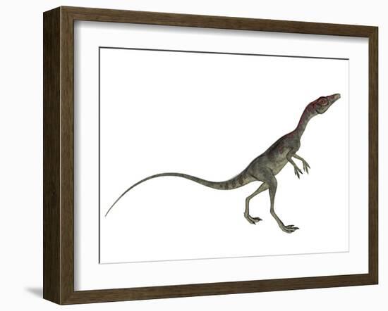 Compsognathus Dinosaur-Stocktrek Images-Framed Art Print