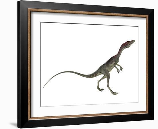 Compsognathus Dinosaur-Stocktrek Images-Framed Art Print