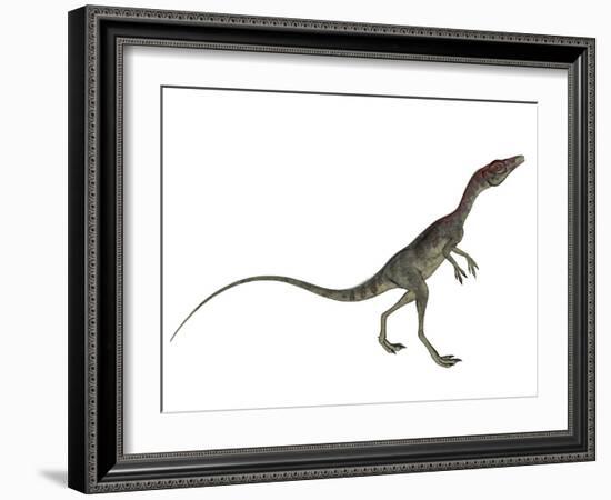 Compsognathus Dinosaur-Stocktrek Images-Framed Art Print