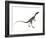 Compsognathus Dinosaur-Stocktrek Images-Framed Art Print