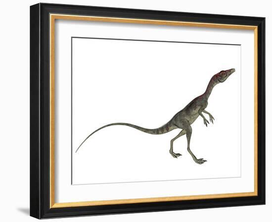 Compsognathus Dinosaur-Stocktrek Images-Framed Art Print