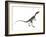 Compsognathus Dinosaur-Stocktrek Images-Framed Art Print