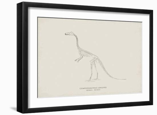 Compsognathus-The Vintage Collection-Framed Giclee Print