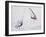 Computer Altered Image of Windsurfers-null-Framed Photographic Print