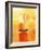 Computer Art of Glass of Orange Juice & Orange Sea-Victor Habbick-Framed Photographic Print