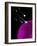 Computer Art of Sperm And Egg During Fertilisation-Mehau Kulyk-Framed Photographic Print