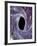 Computer Artwork of a Black Hole Against Starfield-Mehau Kulyk-Framed Photographic Print