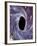 Computer Artwork of a Black Hole Against Starfield-Mehau Kulyk-Framed Photographic Print