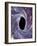 Computer Artwork of a Black Hole Against Starfield-Mehau Kulyk-Framed Photographic Print