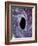 Computer Artwork of a Black Hole Against Starfield-Mehau Kulyk-Framed Photographic Print