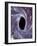 Computer Artwork of a Black Hole Against Starfield-Mehau Kulyk-Framed Photographic Print