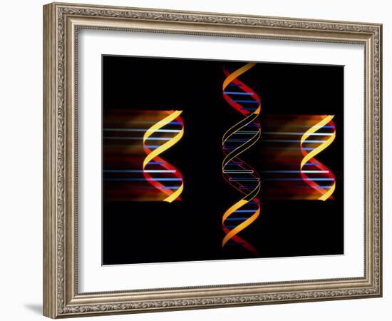 Computer Artwork of Genetic Engineering-Laguna Design-Framed Photographic Print