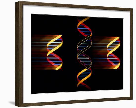 Computer Artwork of Genetic Engineering-Laguna Design-Framed Photographic Print