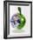 Computer Artwork of Half Earth And Half Apple-Victor Habbick-Framed Photographic Print