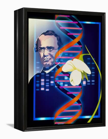 Computer Artwork of the Botanist Gregor Mendel-Laguna Design-Framed Premier Image Canvas