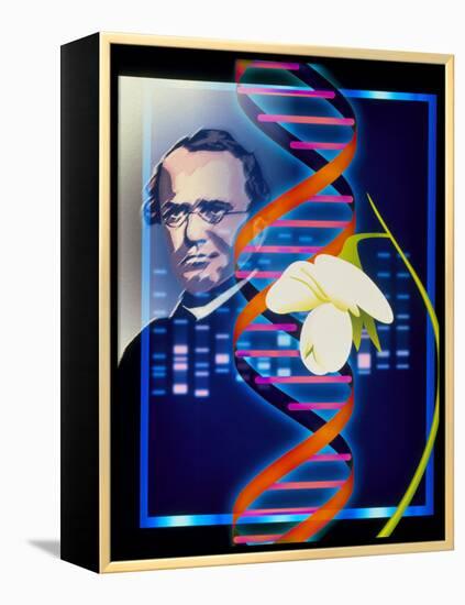 Computer Artwork of the Botanist Gregor Mendel-Laguna Design-Framed Premier Image Canvas