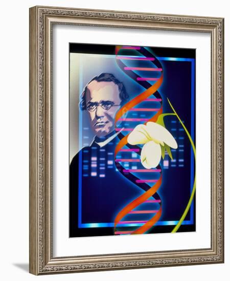 Computer Artwork of the Botanist Gregor Mendel-Laguna Design-Framed Photographic Print