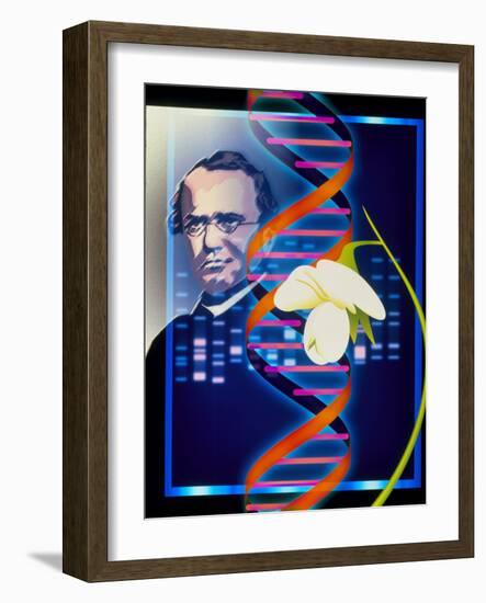 Computer Artwork of the Botanist Gregor Mendel-Laguna Design-Framed Photographic Print