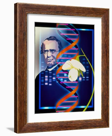 Computer Artwork of the Botanist Gregor Mendel-Laguna Design-Framed Photographic Print