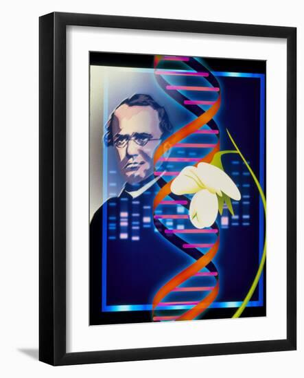 Computer Artwork of the Botanist Gregor Mendel-Laguna Design-Framed Photographic Print