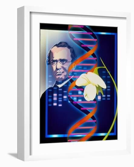 Computer Artwork of the Botanist Gregor Mendel-Laguna Design-Framed Photographic Print