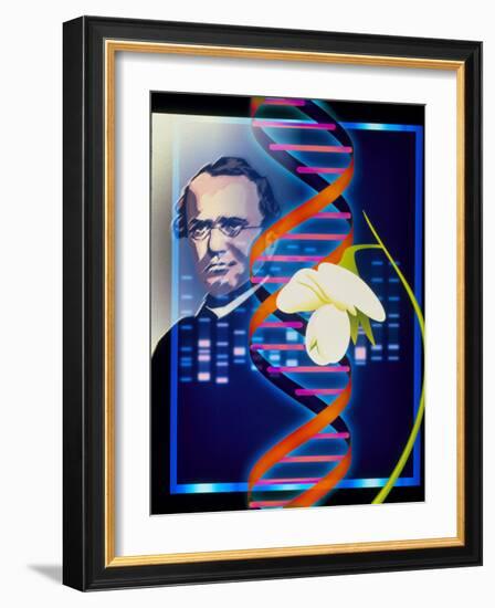 Computer Artwork of the Botanist Gregor Mendel-Laguna Design-Framed Photographic Print
