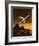 Computer Artwork of Titan's Surface And Saturn-Julian Baum-Framed Photographic Print