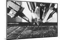 Premium Photographic Print