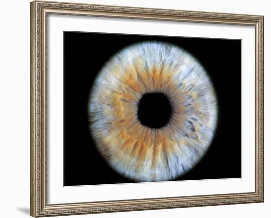 Computer-enhanced Blue-grey Iris of the Eye-David Parker-Framed Photographic Print