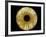 Computer-enhanced Green-grey Iris of the Eye-David Parker-Framed Photographic Print